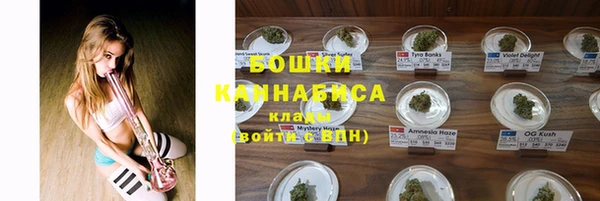 крисы Аркадак