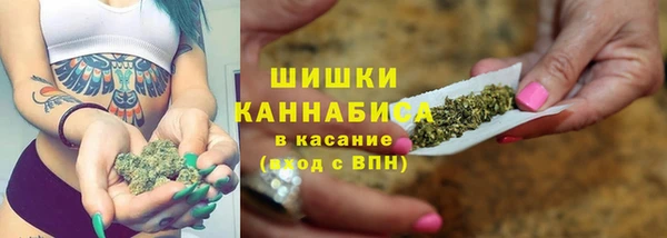 крисы Аркадак