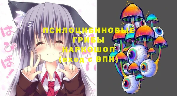 стафф Арсеньев