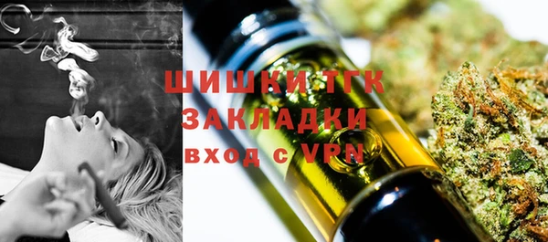 стафф Арсеньев