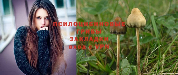 стафф Арсеньев