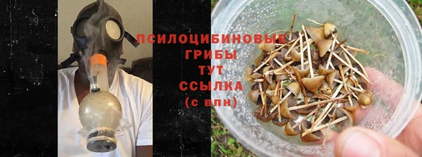 ПСИЛОЦИБИНОВЫЕ ГРИБЫ Армянск